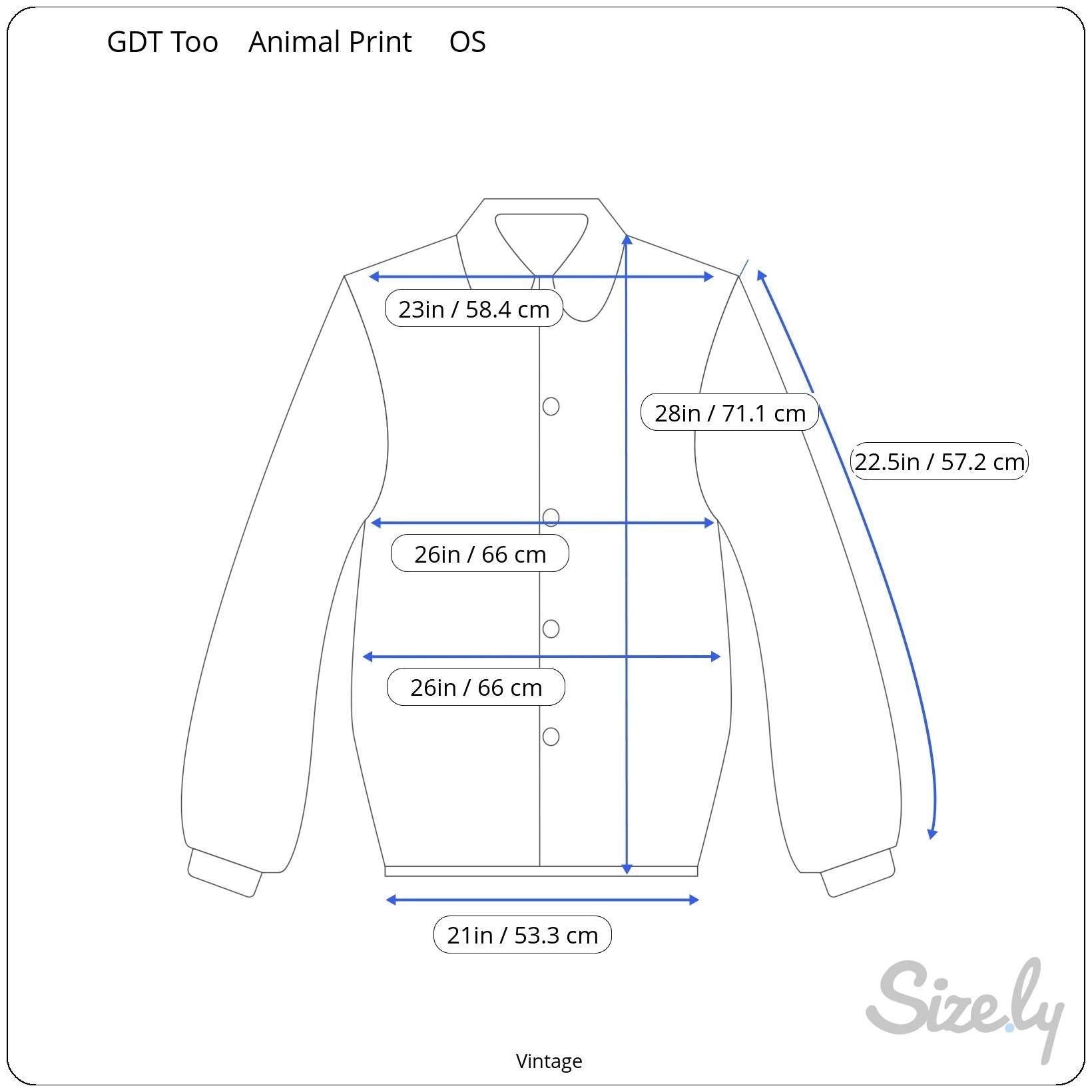 GDT Too Vintage 80s 90s Womens Glam Leopard Print Button-Down Bomber Jacket OS