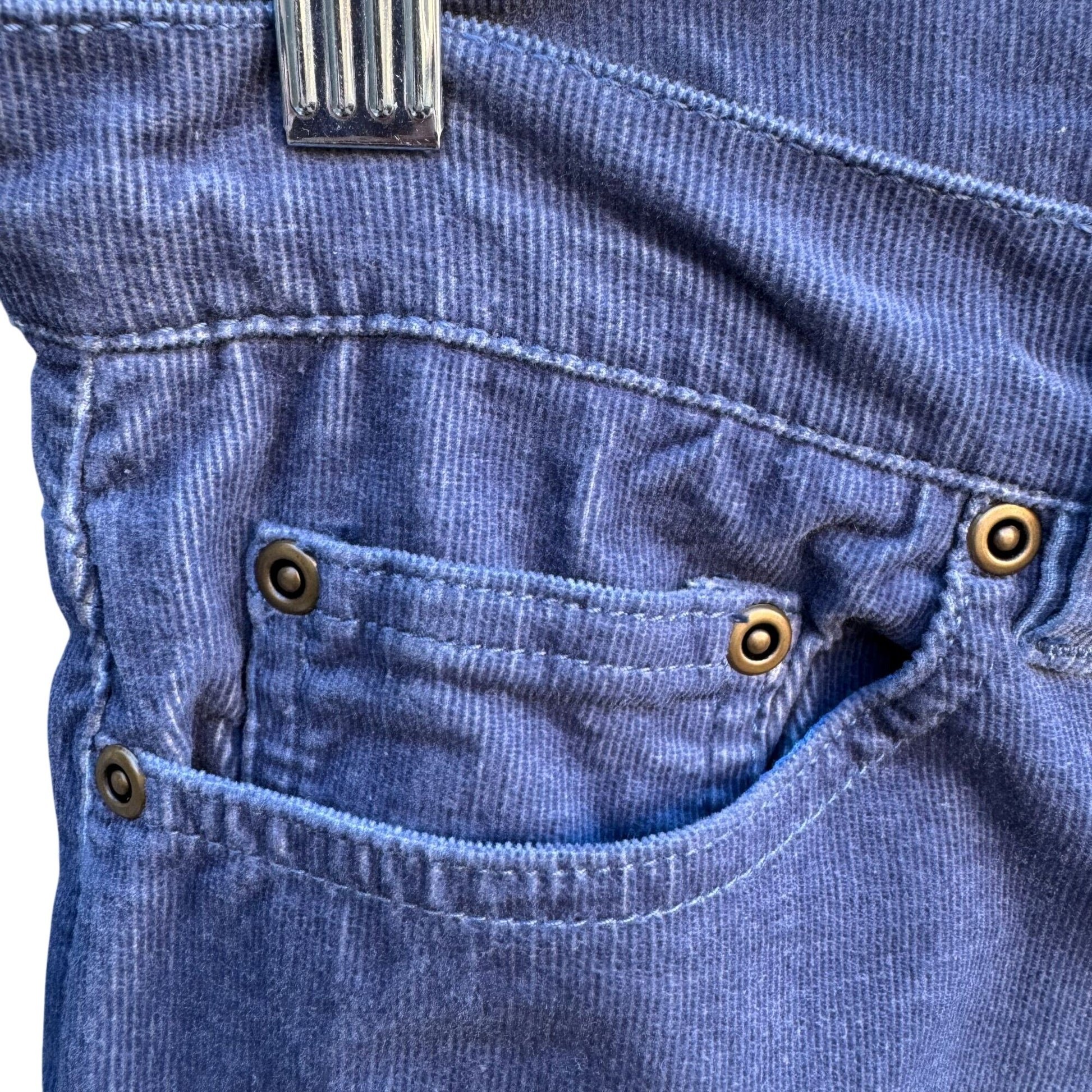 Diane Gilman DG2 Stretch Corduroy Jeans Womens Blue Mid-Rise Outdoor Rugged 8