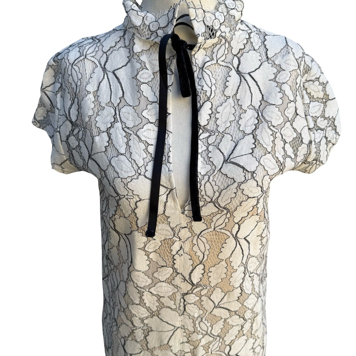 H&M Coquette Victorian Gothic Floral Lace Mock Neck Velvet Tie Shift Dress S