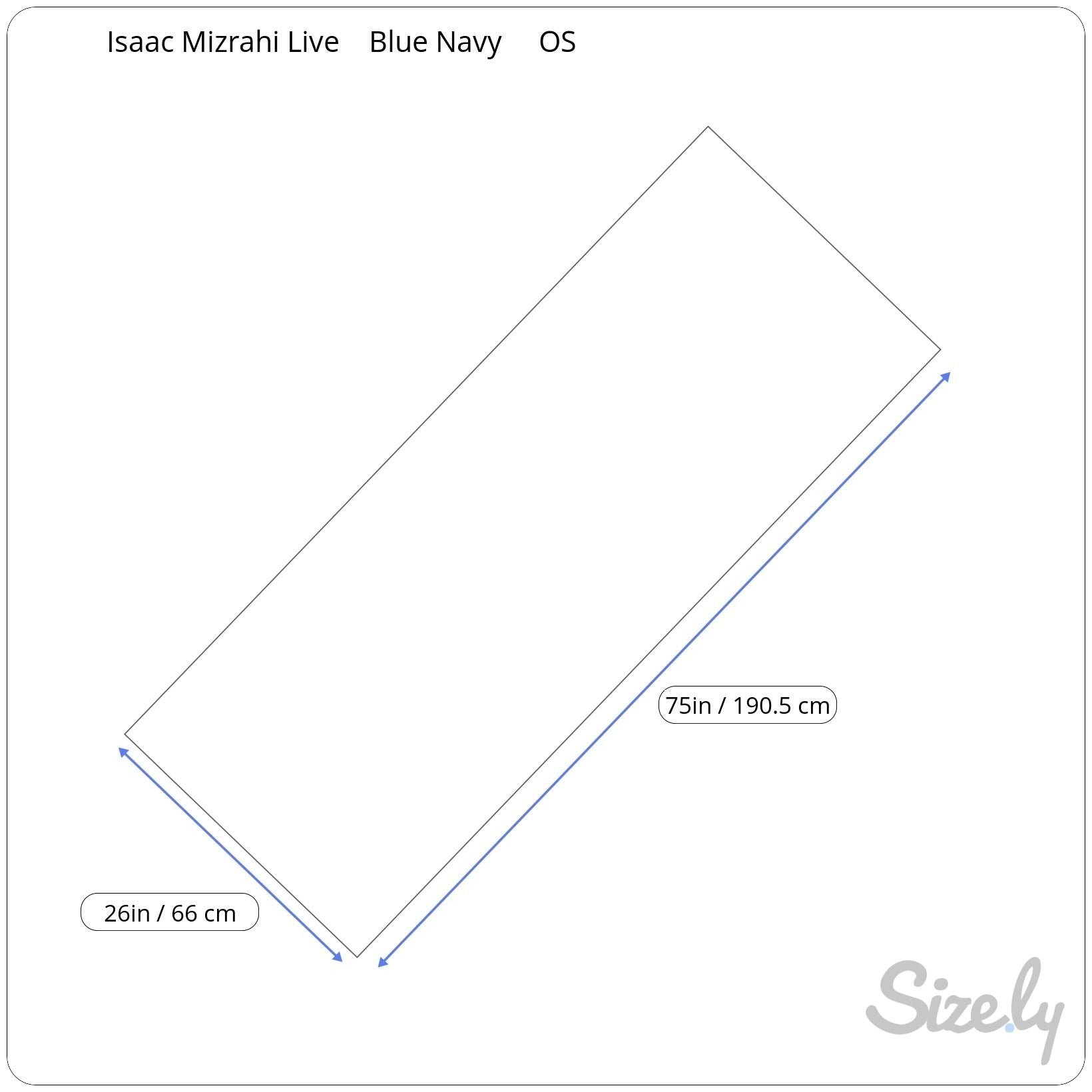 Isaac Mizrahi Womens Delft Blue Floral Boho Rectangle Old Money Scarf Wrap Shawl