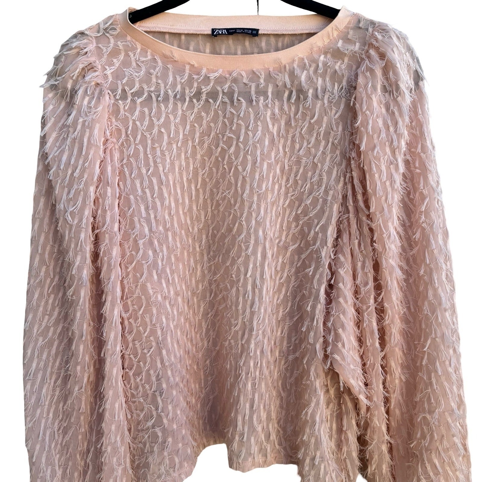 Zara Coquette Sheer Eyelash Fringe Balloon Sleeve Whimsigoth Fairy Blouse Pink M