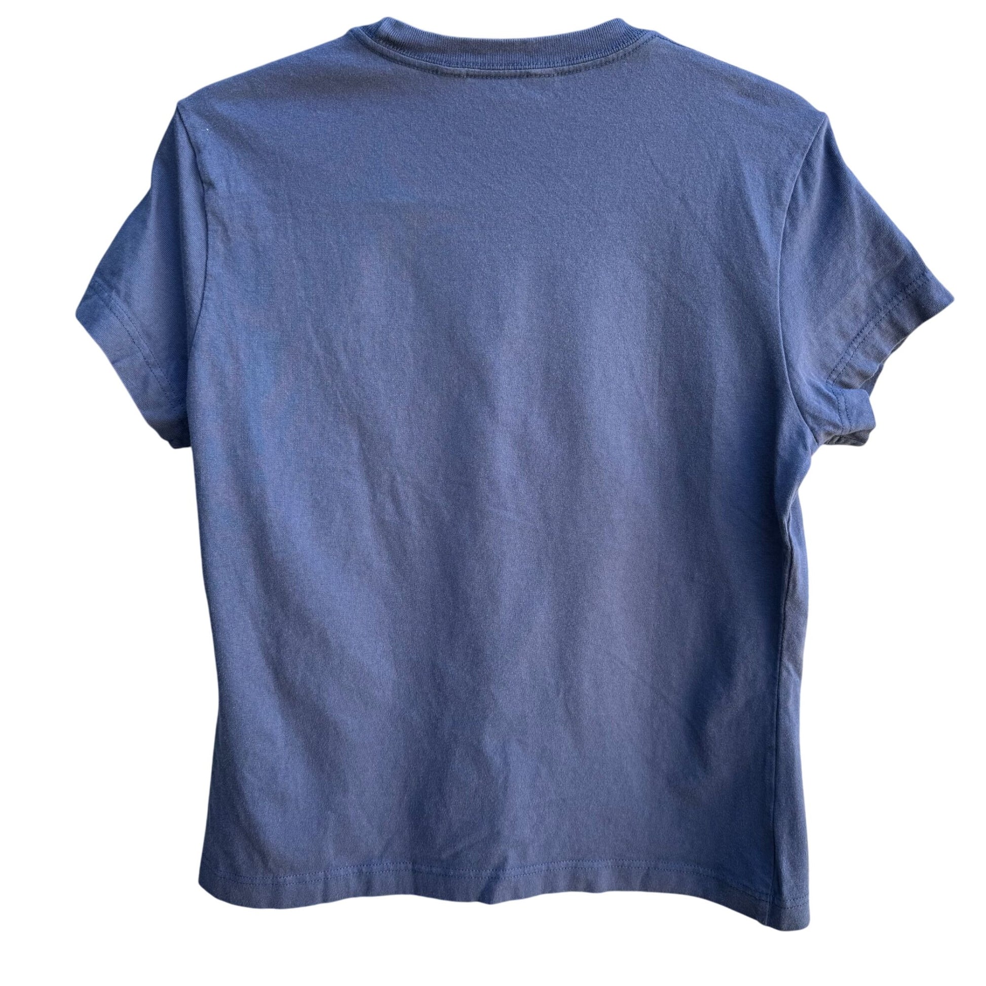 Aeropostale Vintage Y2K Babydoll Animal Swing Graphic Boyfriend Tee Blue Shirt M