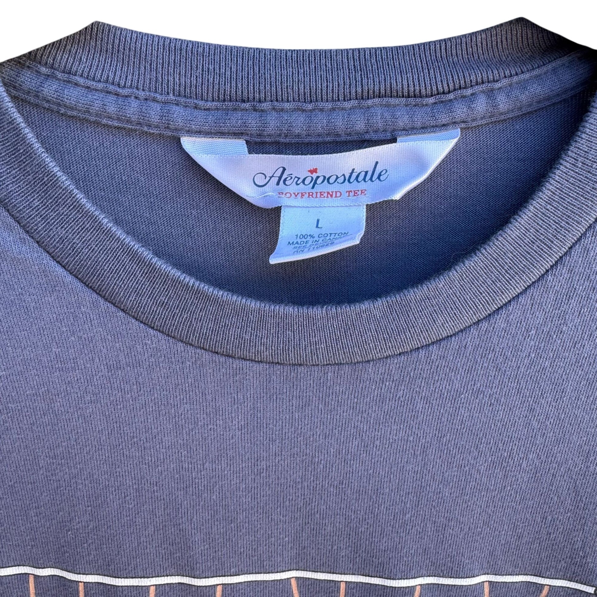 Aeropostale Vintage Y2K Babydoll Animal Swing Graphic Boyfriend Tee Blue Shirt M