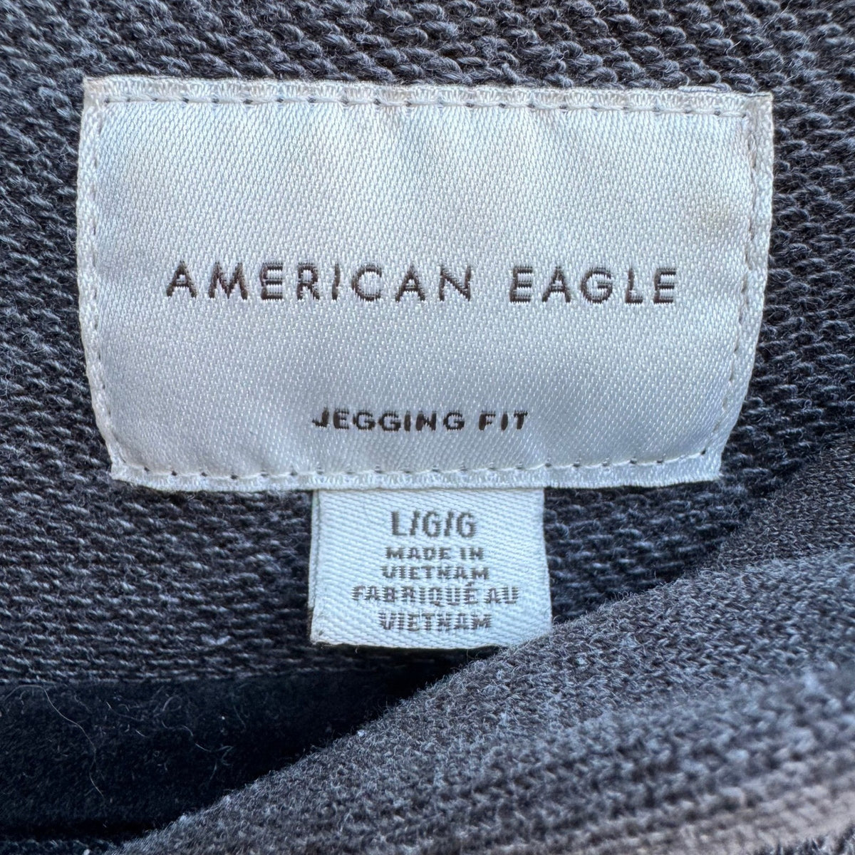 American Eagle Oversized Athleisure Jegging Fit Cozy Pullover Hoodie Gray L