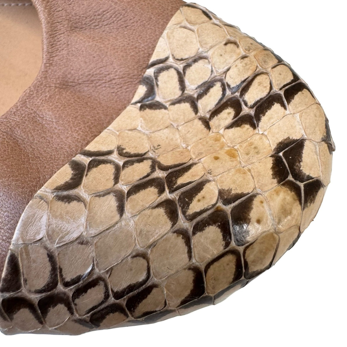 J.Crew Italian Leather Quiet Luxury Snakeskin Cap Toe Ballet Flats Taupe 11