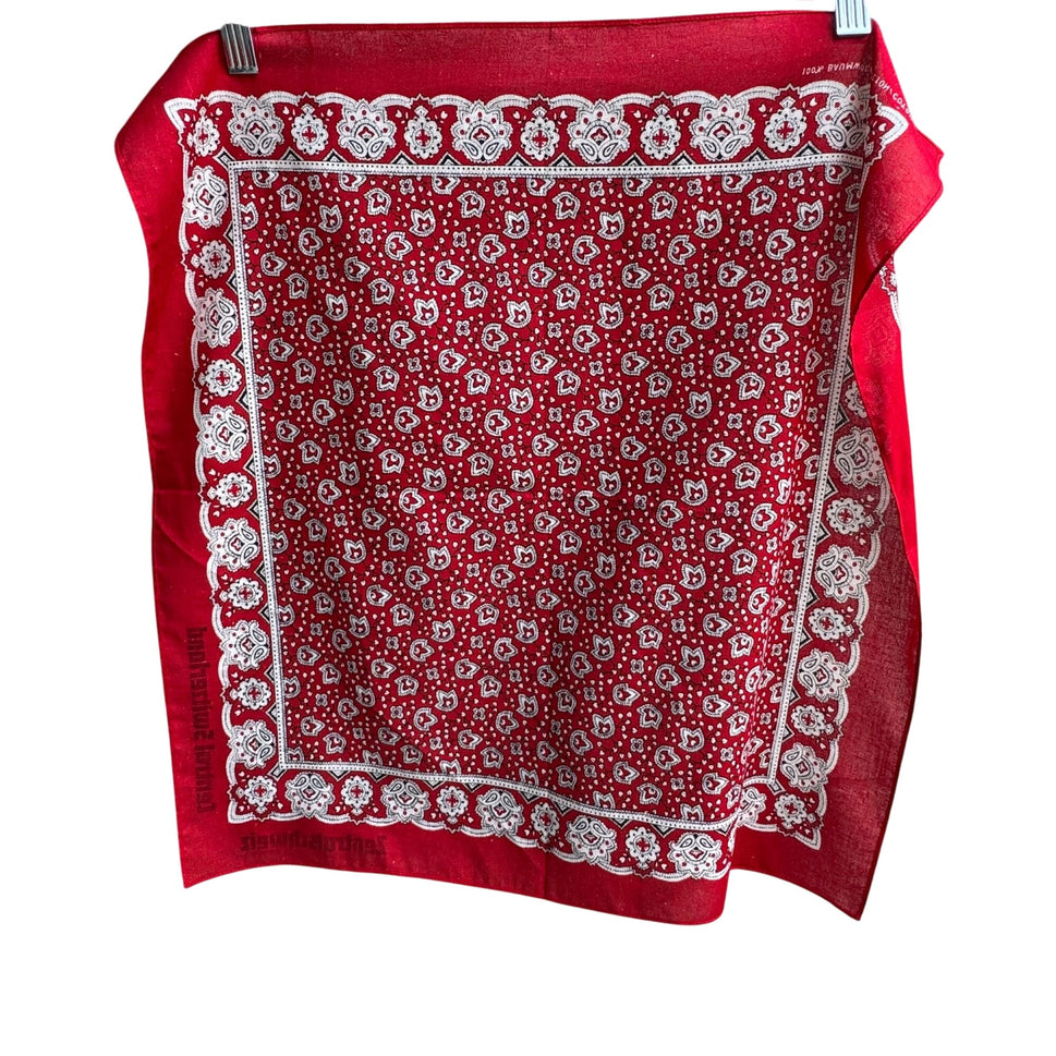 Zentralschweiz Central Switzerland Vintage Red Paisley Bandana 100% Cotton Scarf