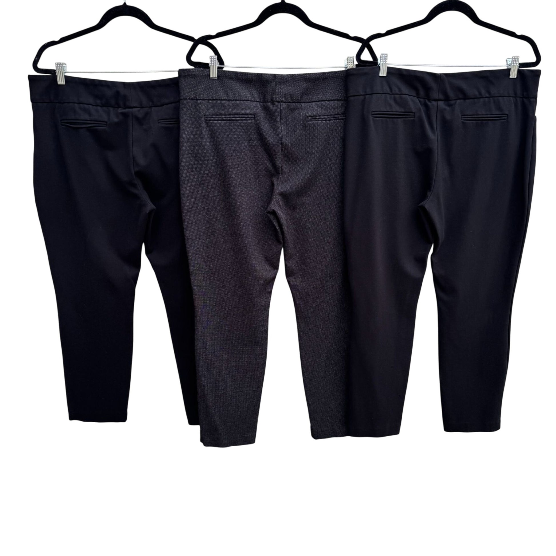 Dalia Womens 2 Black 1 Gray Stretch Slim Fit Pocket Ankle Pant Set of 3 Pants XL