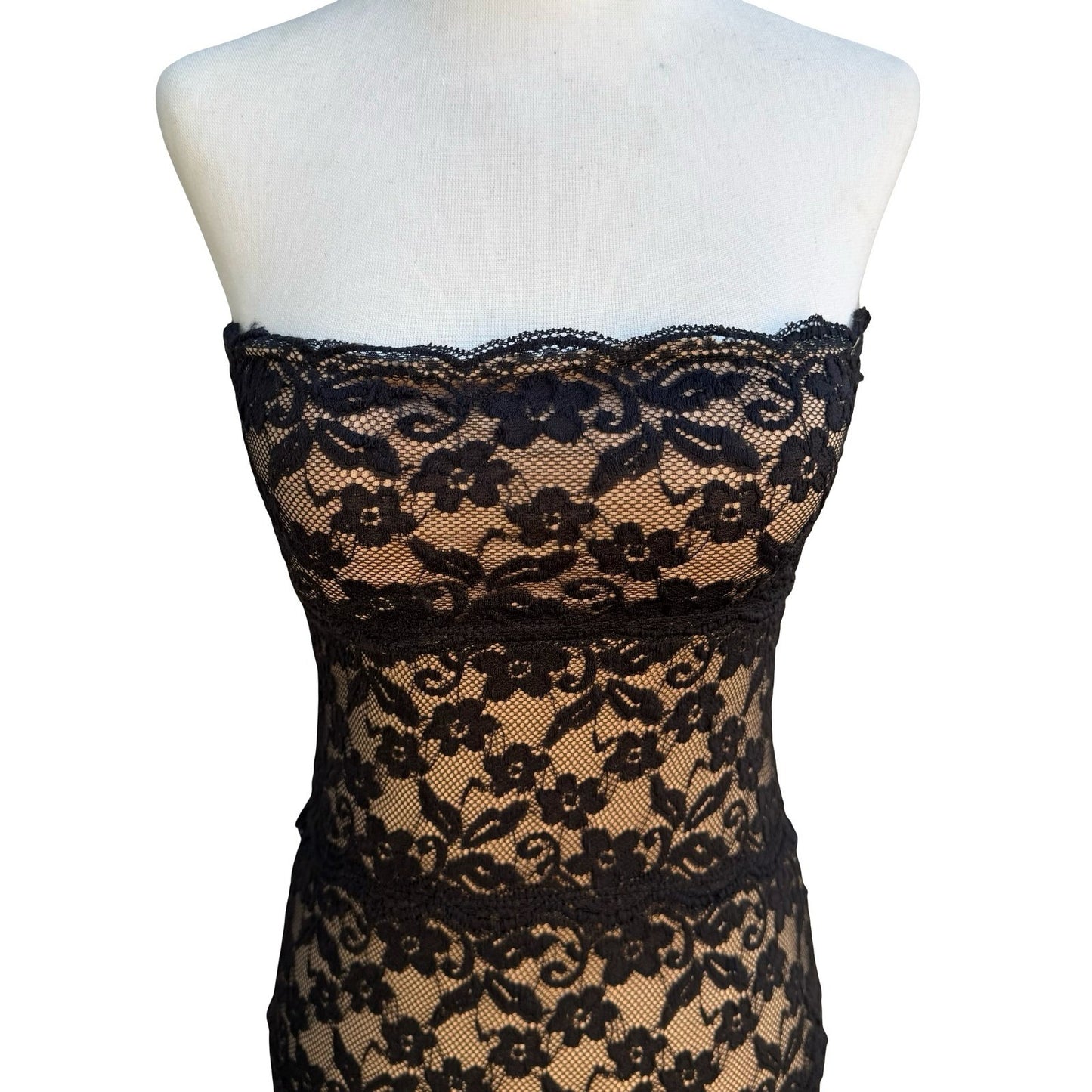 Pretty Good Coquette Whimsigoth Black Floral Lace Strapless Bodycon Mini Dress