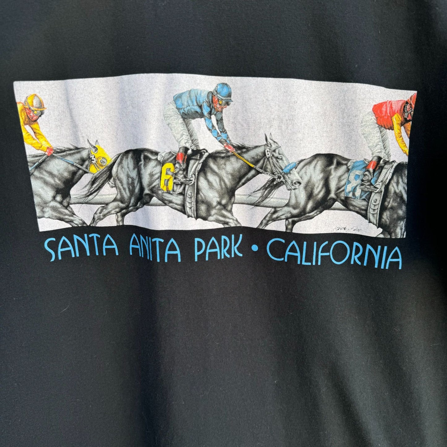 Santa Anita Park California Horse Racing Graphic Tee Jerzees High Cotton Black XL