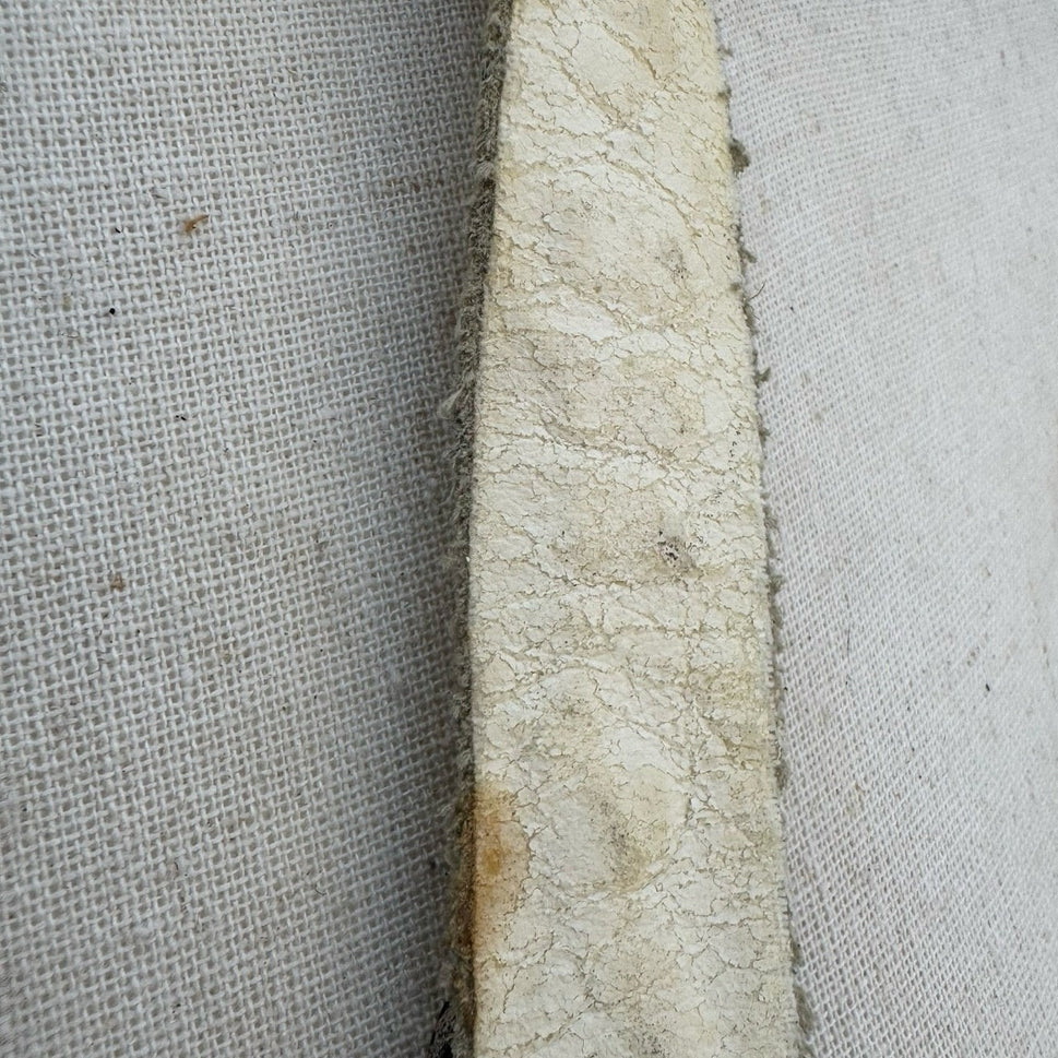 Lily Farouche Munich Vintage White Leather Studded Buffalo Nickel Western Belt