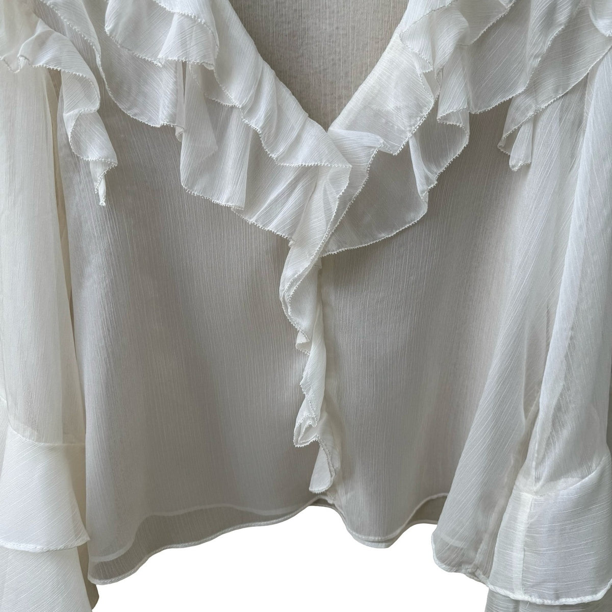 Aqua Coquette Fairycore Ruffle V-Neck Tiered Bell Sleeve Sheer Blouse White L