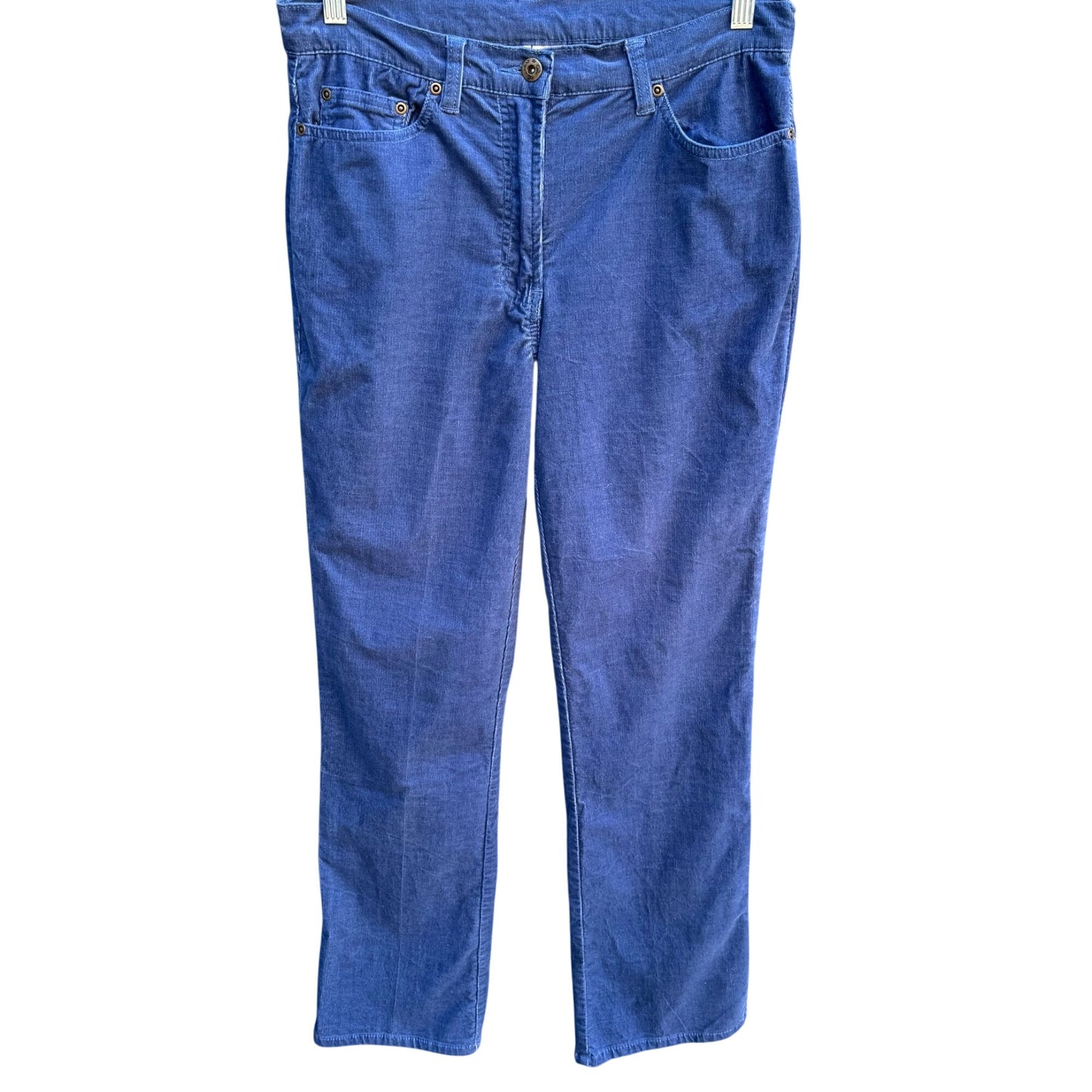 Diane Gilman DG2 Stretch Corduroy Jeans Womens Blue Mid-Rise Outdoor Rugged 8