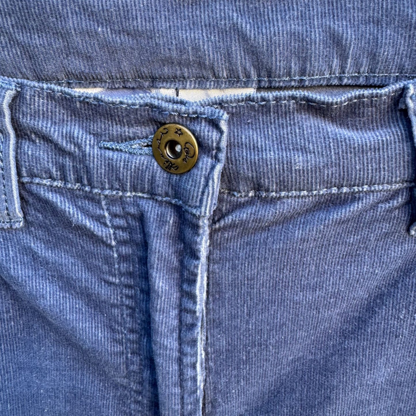 Diane Gilman DG2 Stretch Corduroy Jeans Womens Blue Mid-Rise Outdoor Rugged 8