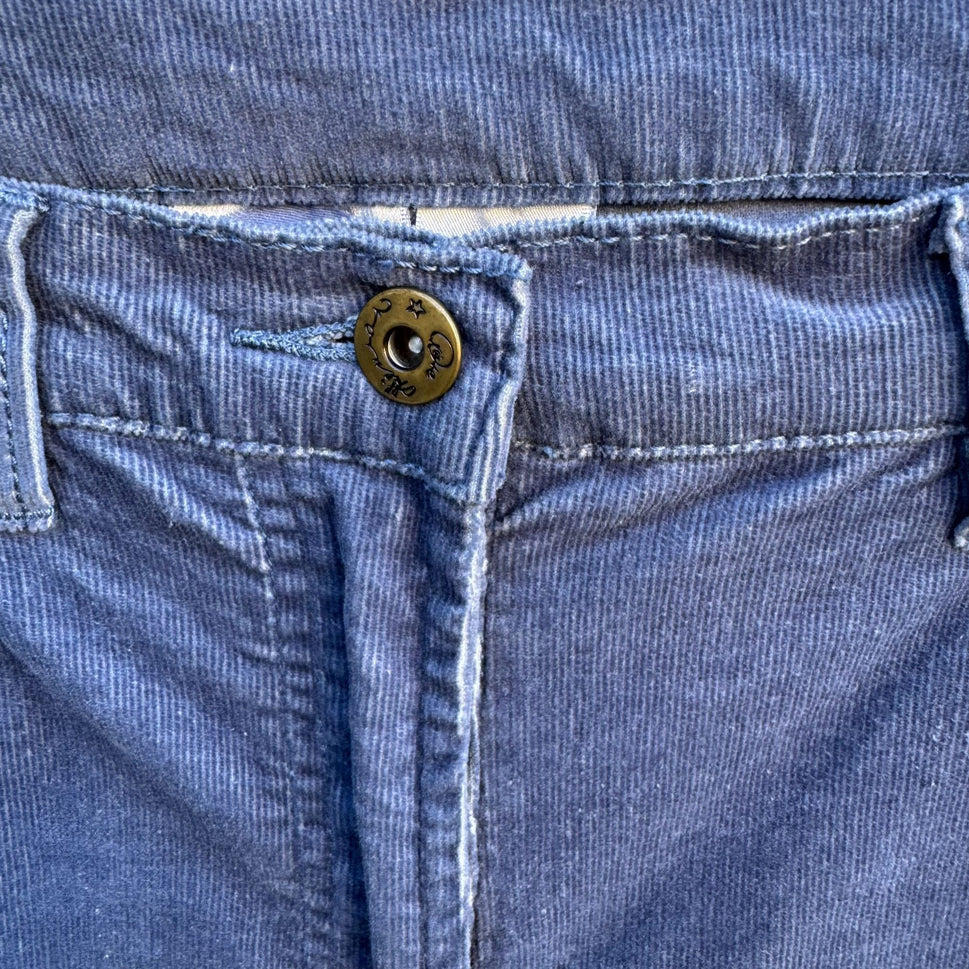 Diane Gilman DG2 Stretch Corduroy Jeans Womens Blue Mid-Rise Outdoor Rugged 8