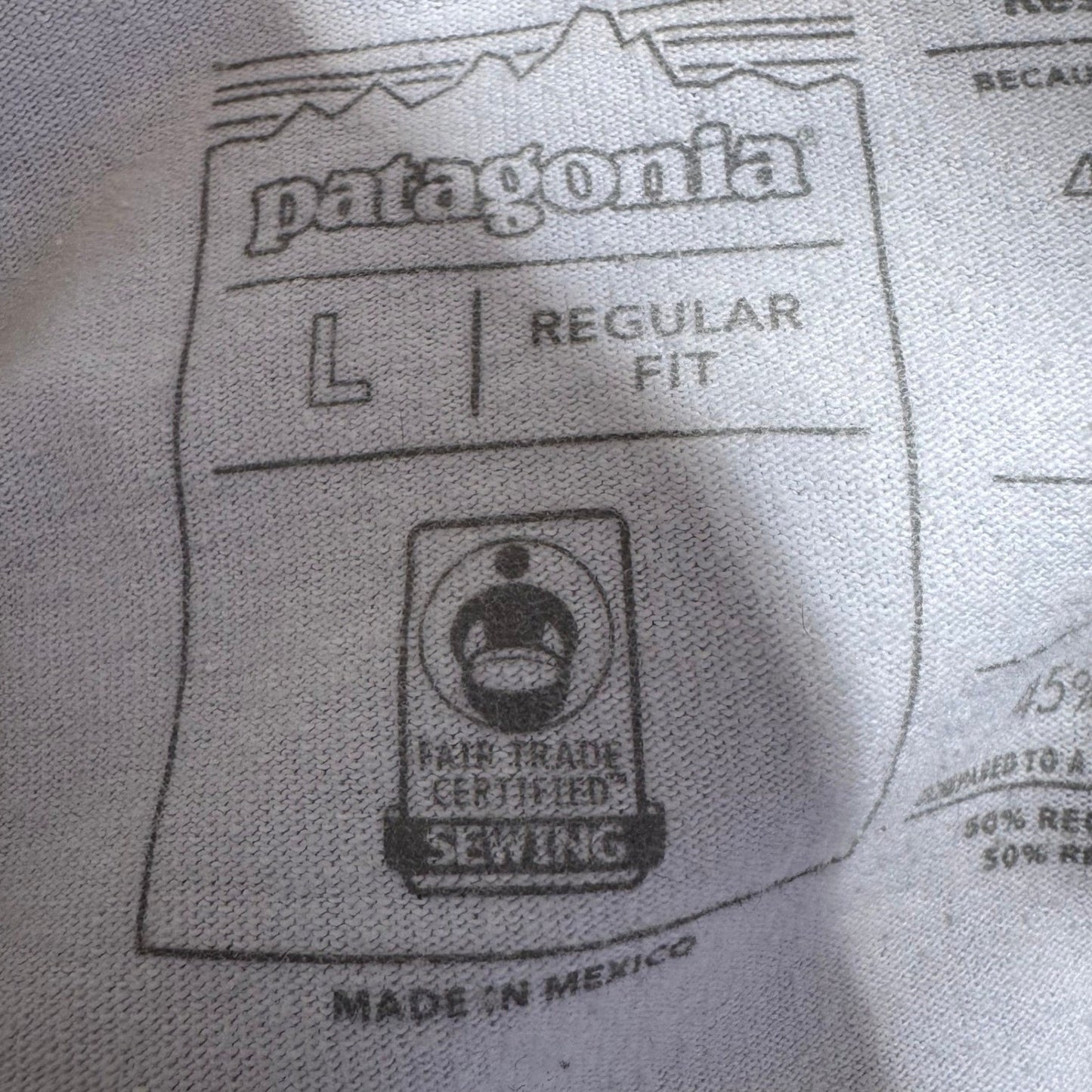 Patagonia Responsibili-Tee Shirt Mens L Grey P6 Fitz Roy Gorpcore Sustainable