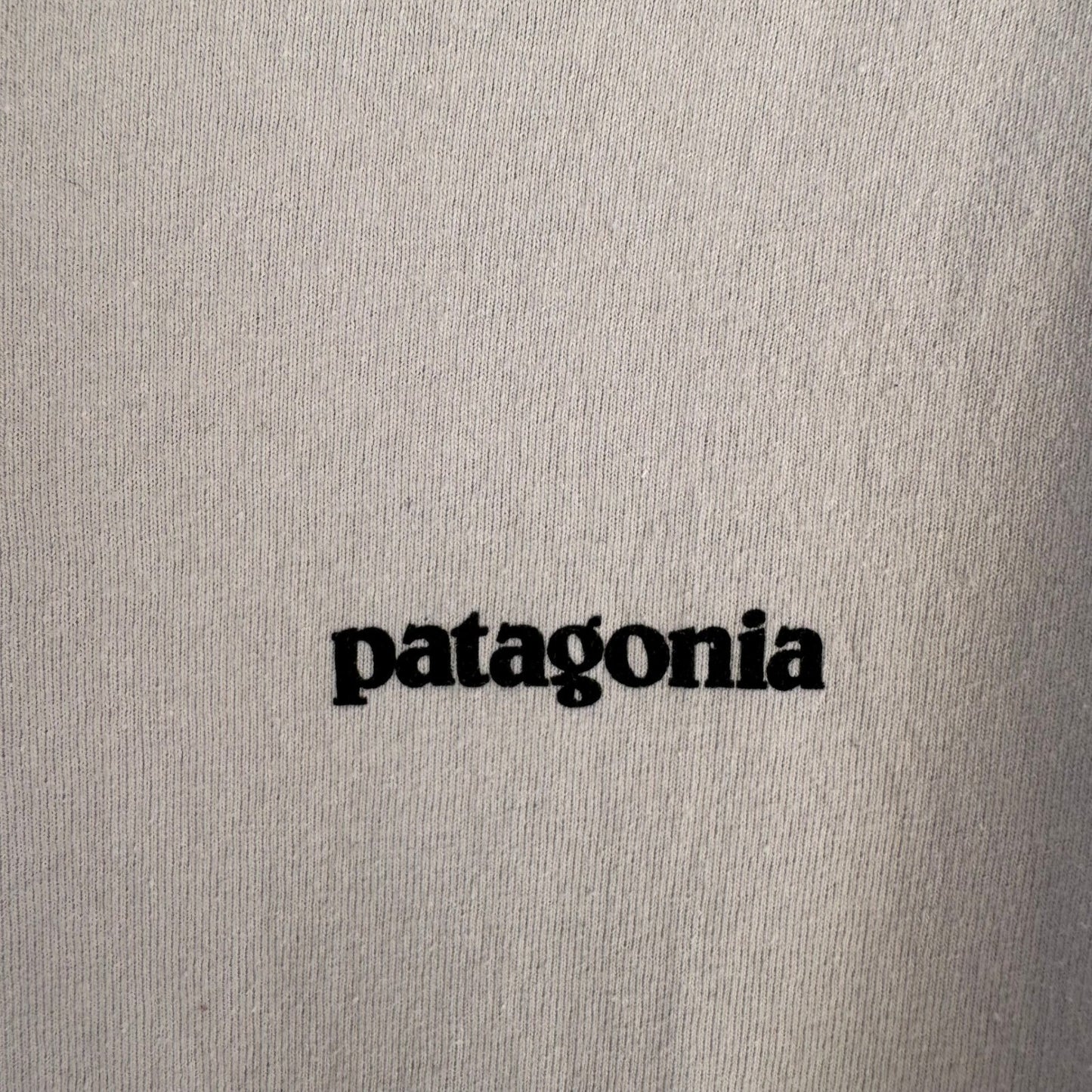 Patagonia Responsibili-Tee Shirt Mens L Grey P6 Fitz Roy Gorpcore Sustainable