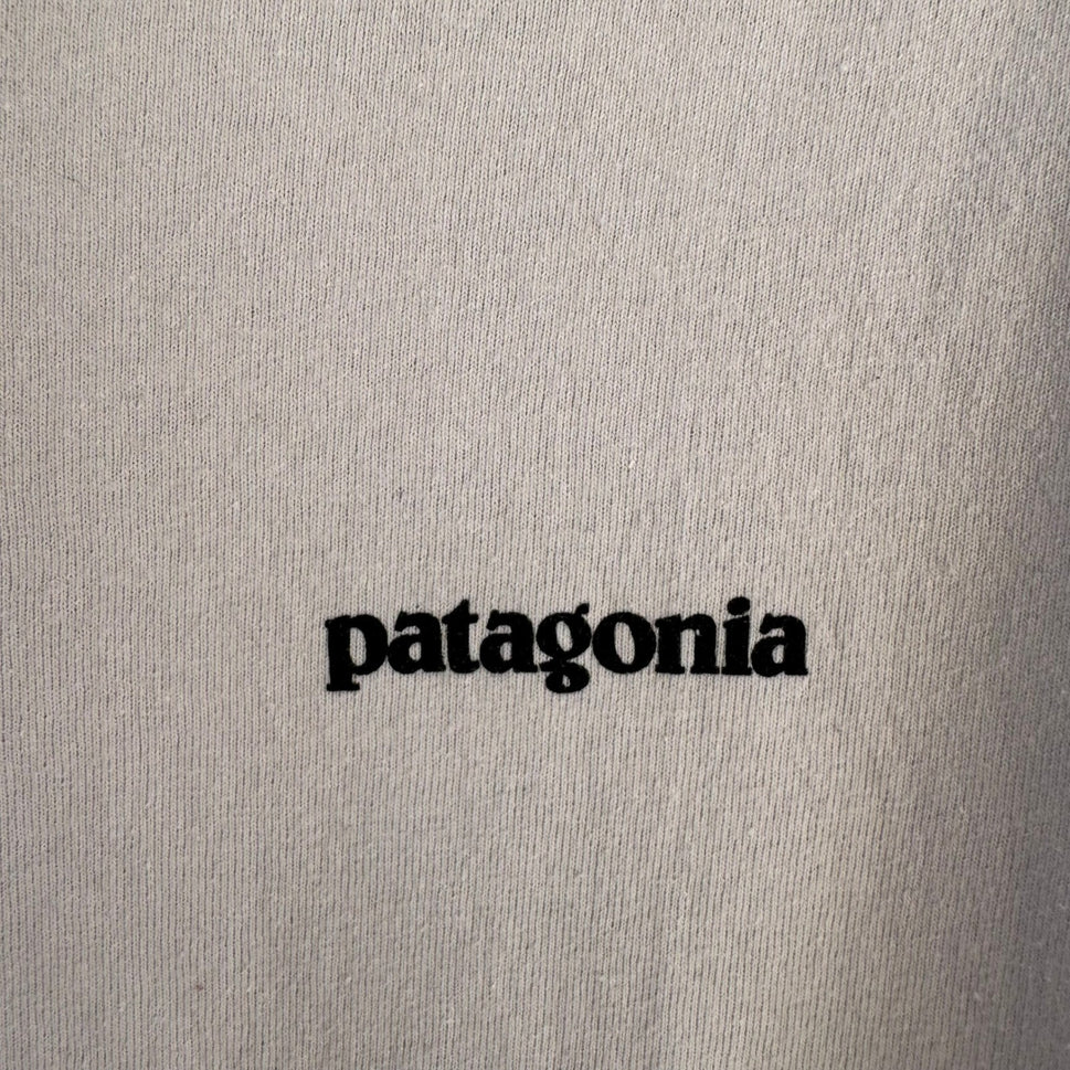 Patagonia Responsibili-Tee Shirt Mens L Grey P6 Fitz Roy Gorpcore Sustainable