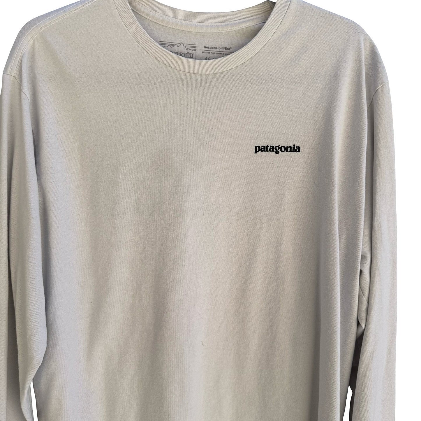 Patagonia Responsibili-Tee Shirt Mens L Grey P6 Fitz Roy Gorpcore Sustainable