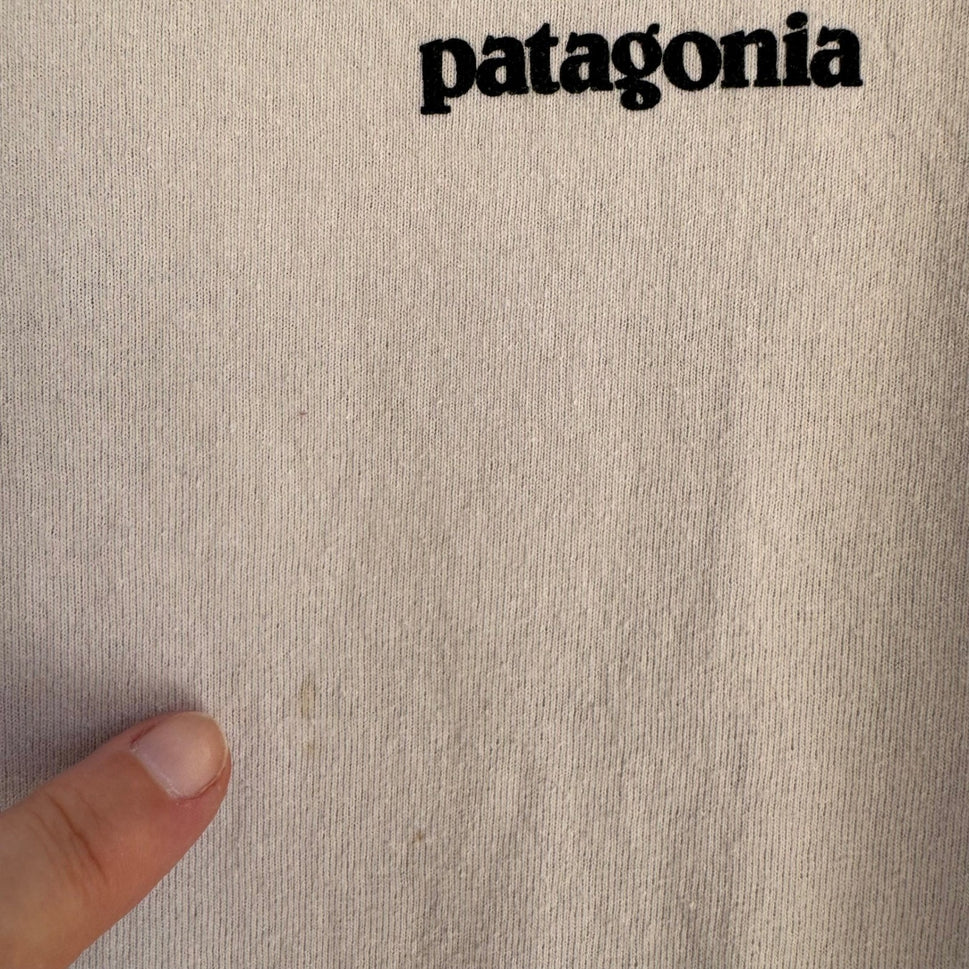 Patagonia Responsibili-Tee Shirt Mens L Grey P6 Fitz Roy Gorpcore Sustainable