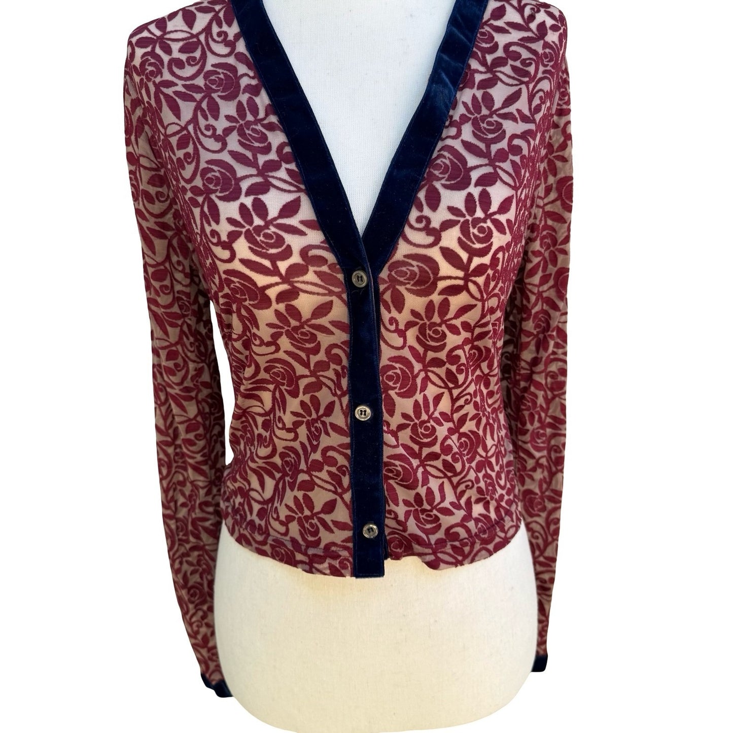 IS Y2K Sheer Devore Rose Cardigan Romantic Goth Burnout Velvet Trim Whimsigoth A