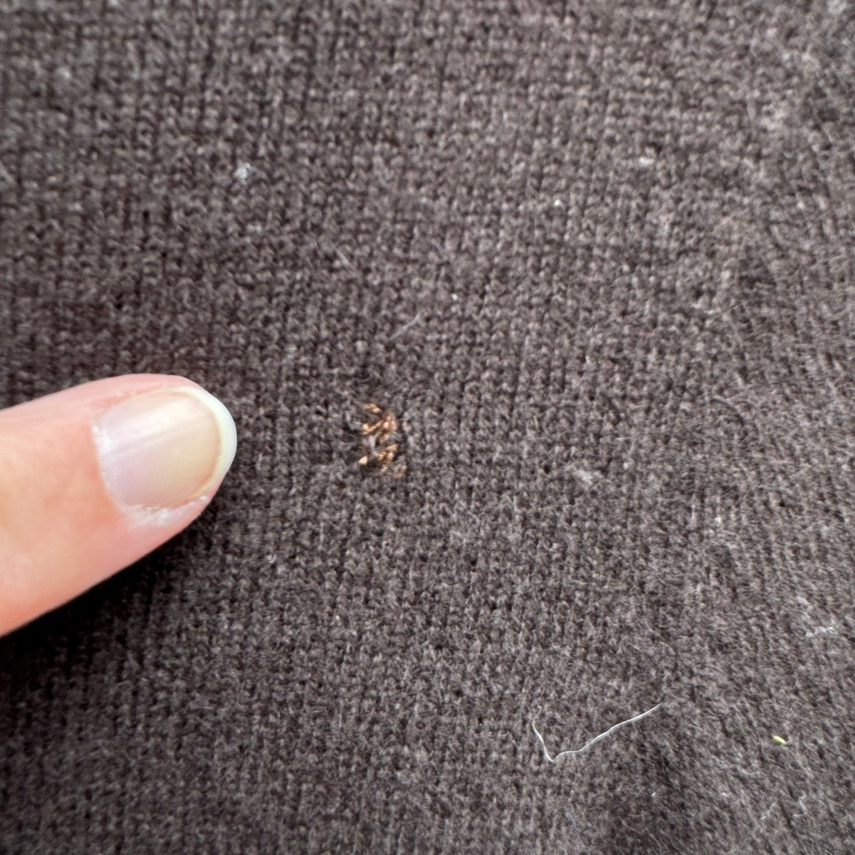 Ann Taylor Cashmere Quiet Luxury Minimalist Ruched Turtleneck Sweater Brown M