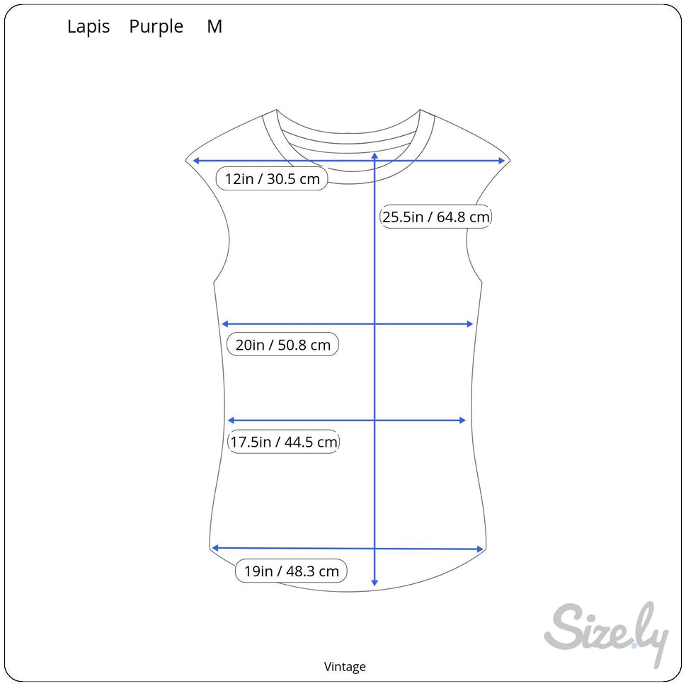 Lapis Y2K Womens Purple Striped Sleeveless Preppy Cottage Ruffle Blouse Shirt M