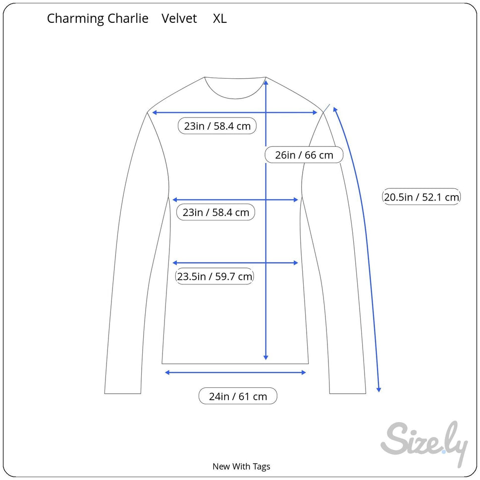 Charming Charlie Crushed Velvet Long Sleeve Top Ruffle Sleeve Fairytale Frost XL