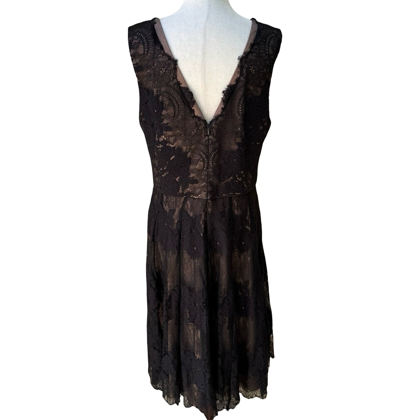 Vera Wang Romantic Feminine Floral Lace Chic Wedding Guest Cocktail Dress LBD 14
