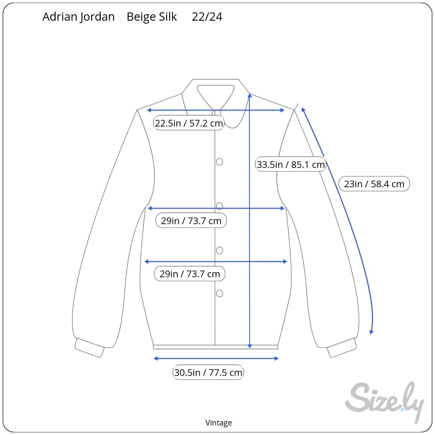 Adrian Jordan Vintage Womens Boho Paisley Silk Long Sleeve Button Shirt Blouse 22