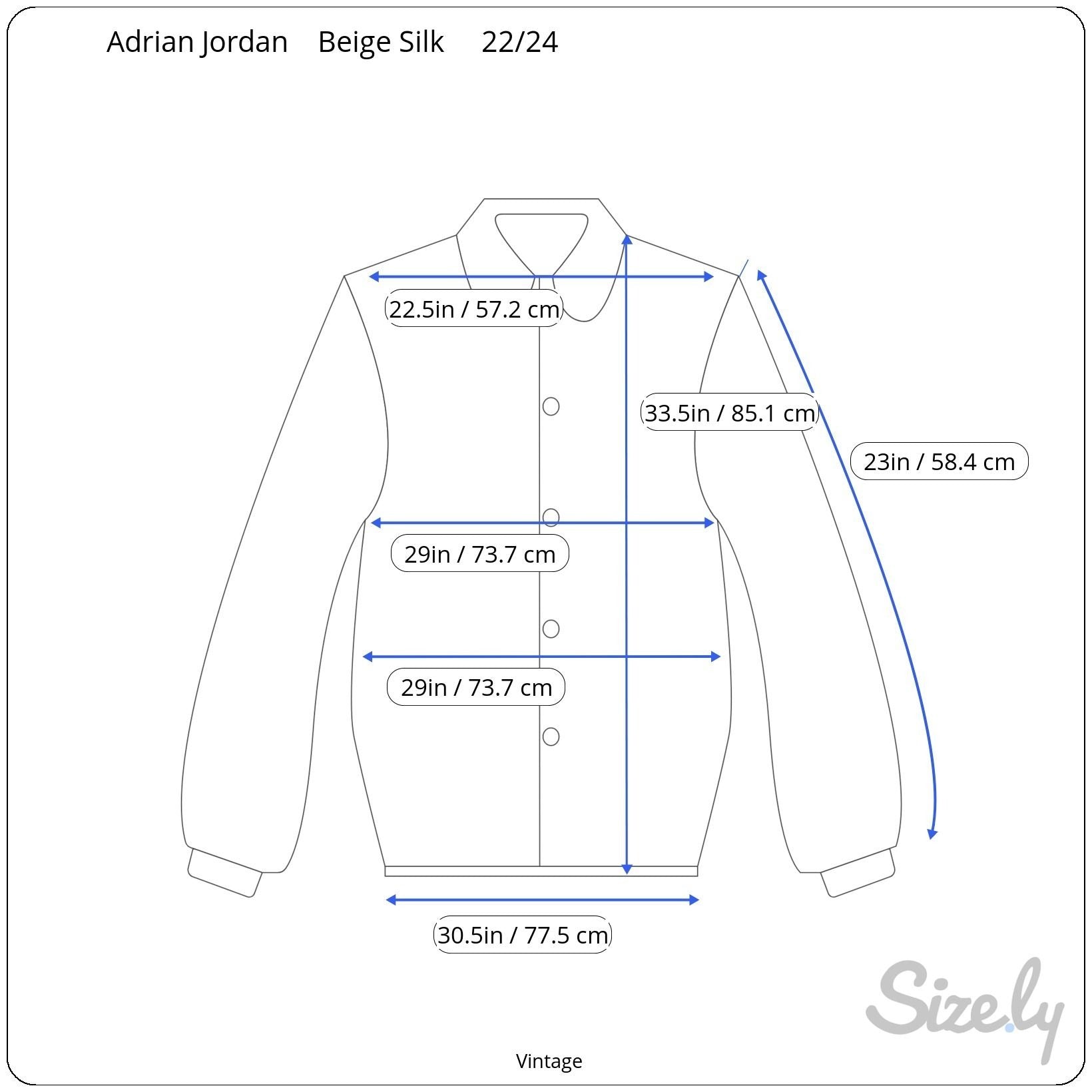 Adrian Jordan Vintage Womens Boho Paisley Silk Long Sleeve Button Shirt Blouse 22