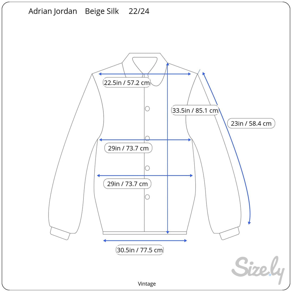 Adrian Jordan Vintage Womens Boho Paisley Silk Long Sleeve Button Shirt Blouse 22