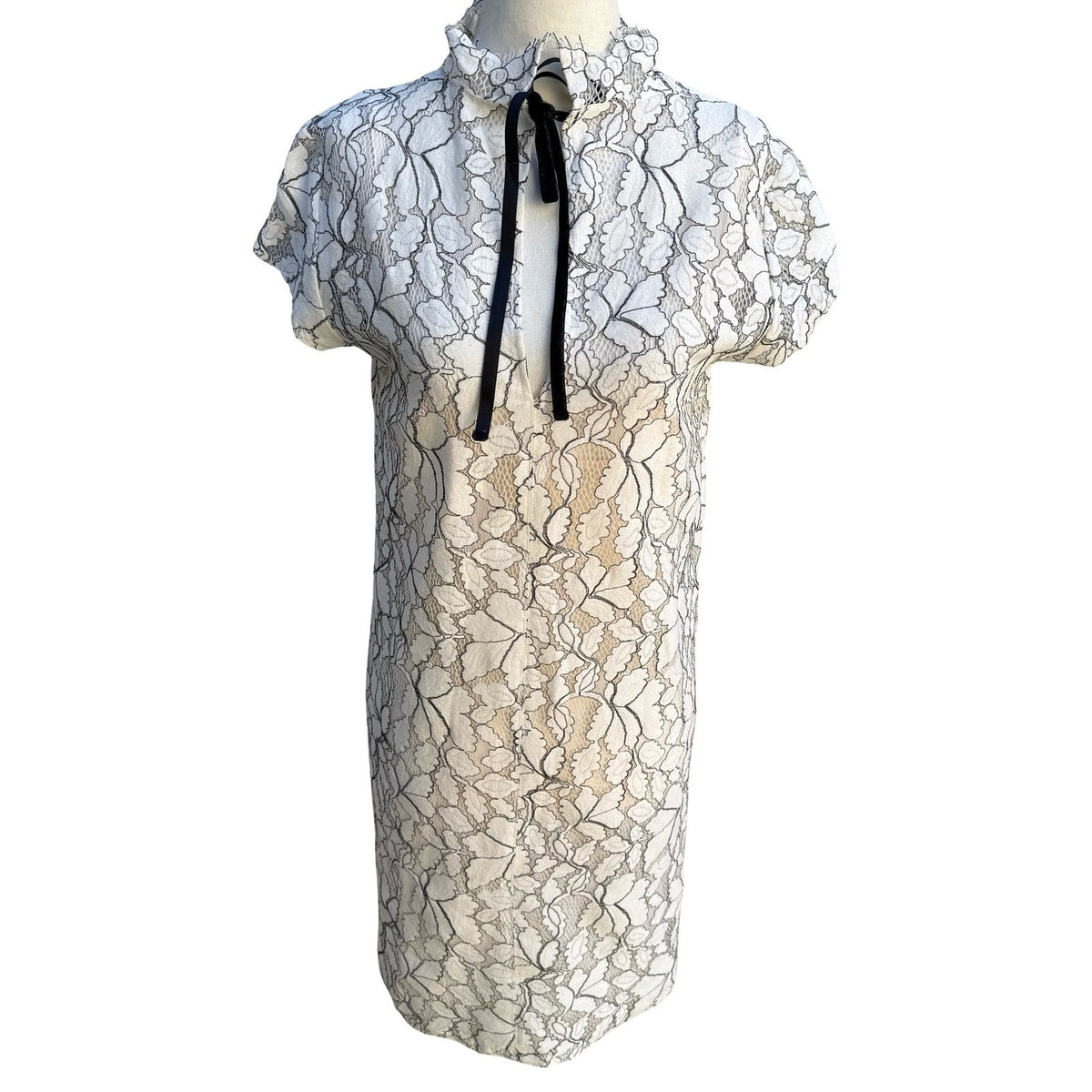 H&M Coquette Victorian Gothic Floral Lace Mock Neck Velvet Tie Shift Dress S