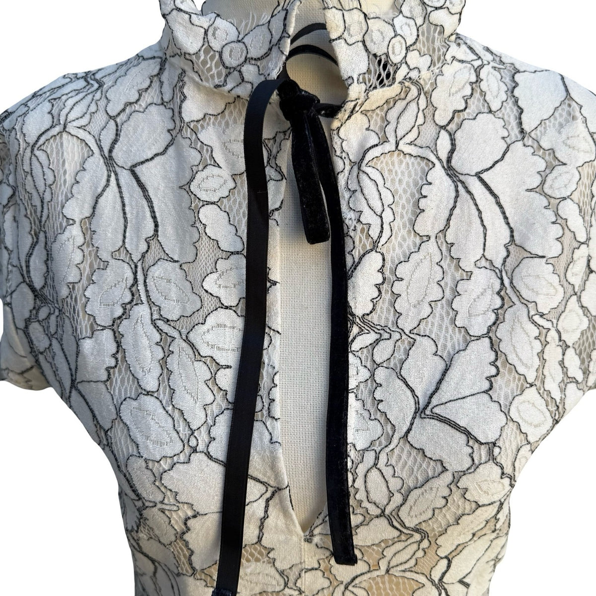 H&M Coquette Victorian Gothic Floral Lace Mock Neck Velvet Tie Shift Dress S