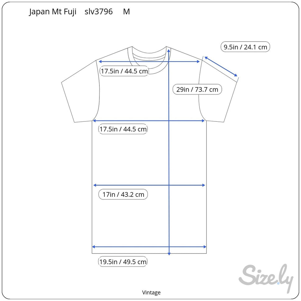 Vintage Japan Mount Fuji Souvenir Graphic T-Shirt White Short Sleeve Crewneck