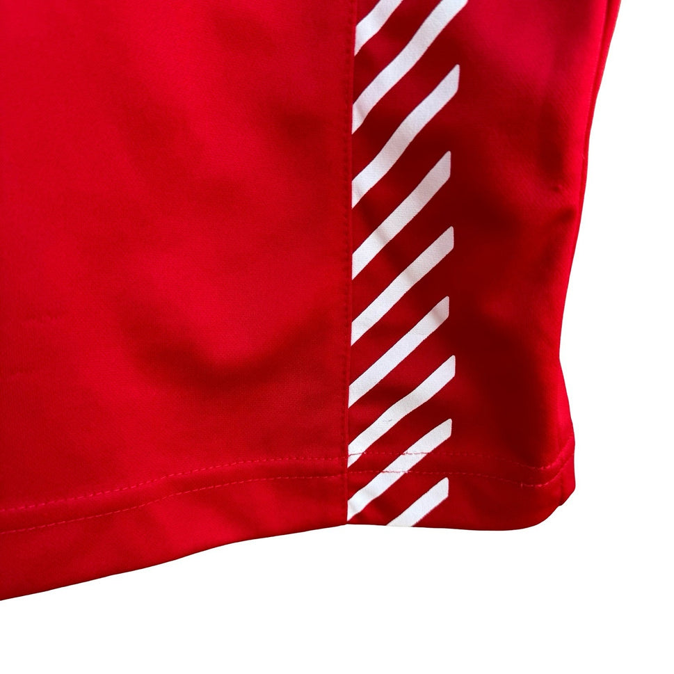 KFA South Korea Legend Soccer Jersey Red Tiger Graphic Mens L World Cup Football