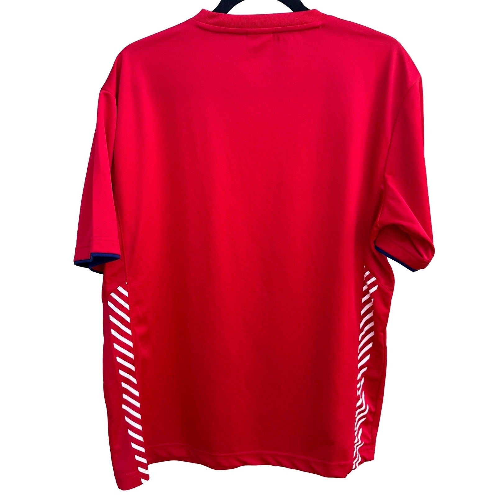 KFA South Korea Legend Soccer Jersey Red Tiger Graphic Mens L World Cup Football