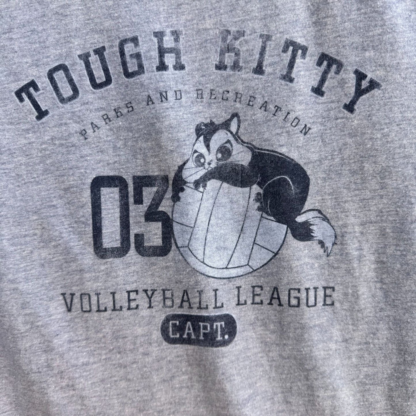 Looney Tunes Vintage Y2K Tough Kitty Volleyball League Ringer Babydoll Tee M