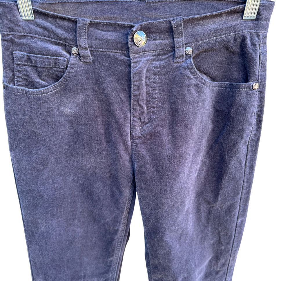 Diane Gilman DG2 Grey Corduroy Pants 2P Mid-Rise Casual Stretch Slim Fit Womens