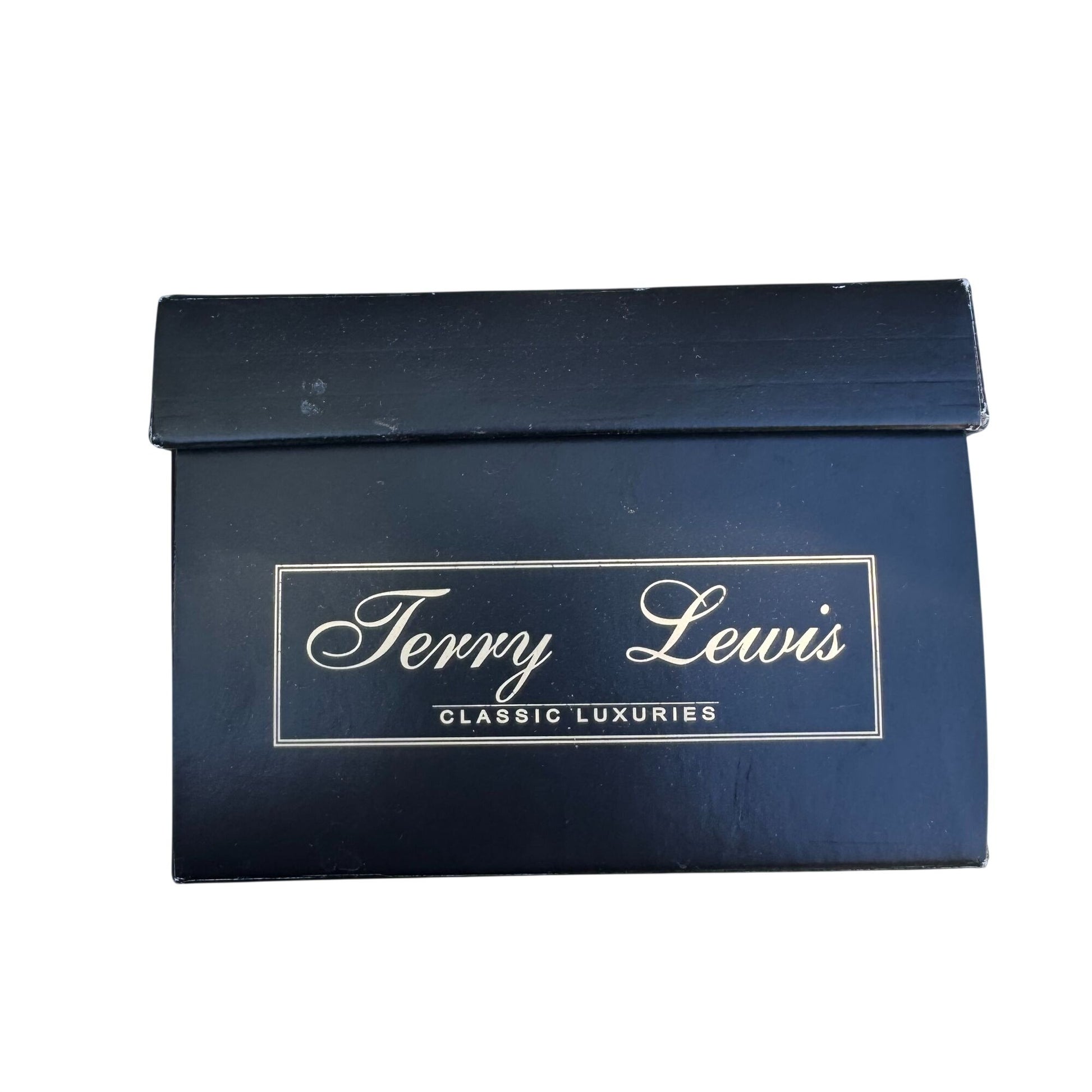 Terry Lewis Classic Luxuries Leather Heeled Sandals 5.5M Light Blue New With Box