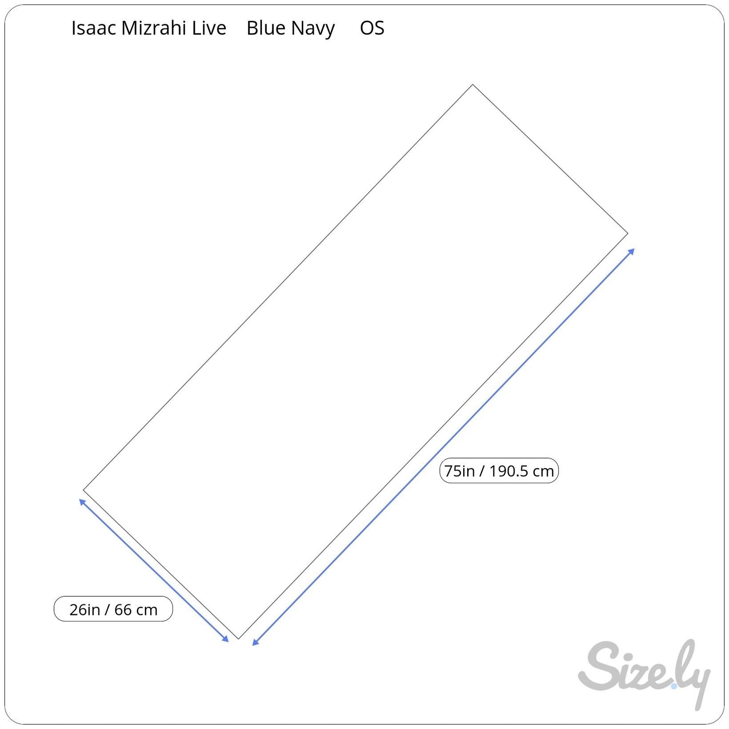 Isaac Mizrahi Womens Delft Blue Floral Boho Rectangle Old Money Scarf Wrap Shawl