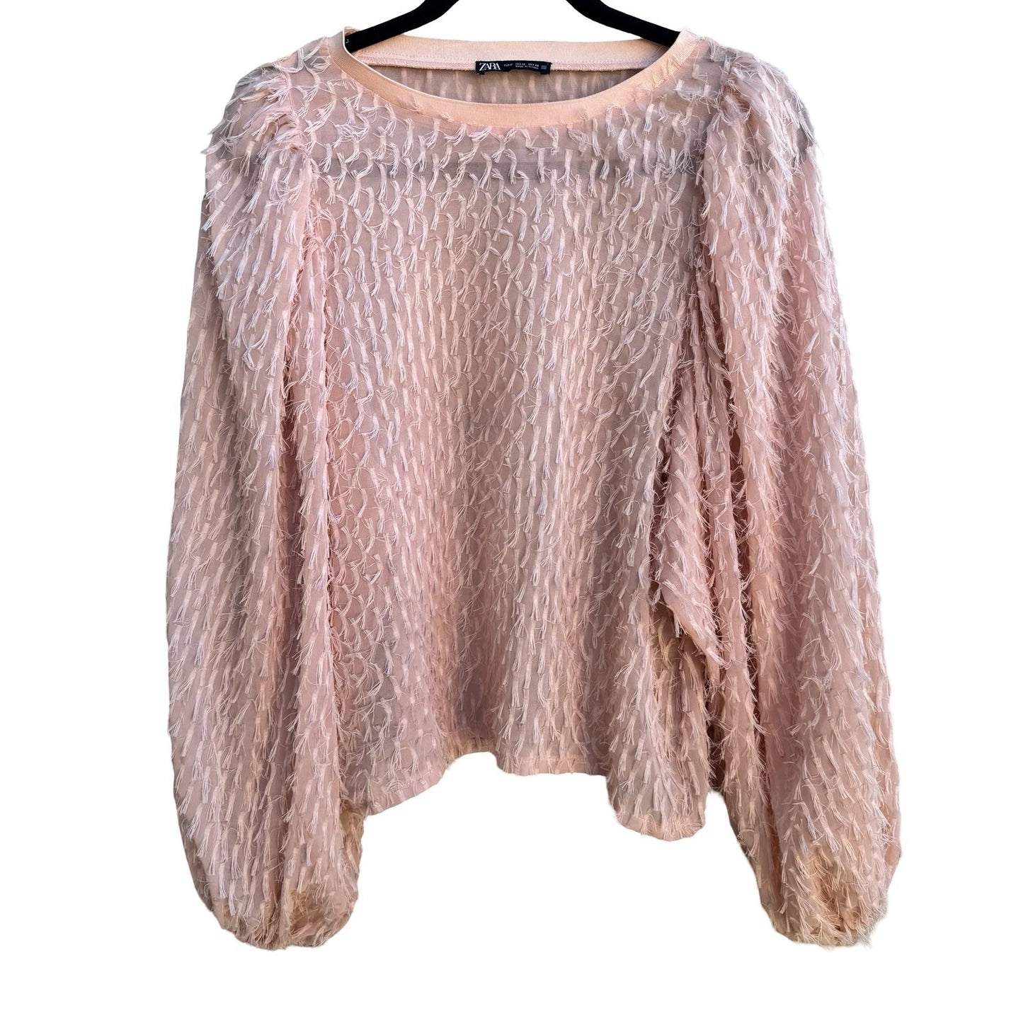 Zara Coquette Sheer Eyelash Fringe Balloon Sleeve Whimsigoth Fairy Blouse Pink M