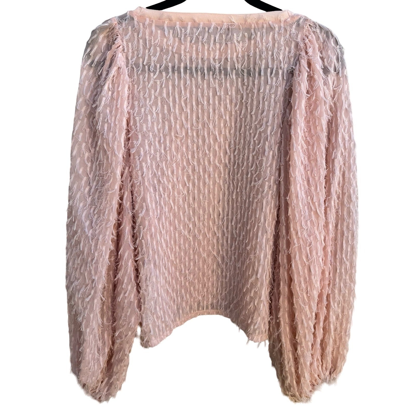 Zara Coquette Sheer Eyelash Fringe Balloon Sleeve Whimsigoth Fairy Blouse Pink M