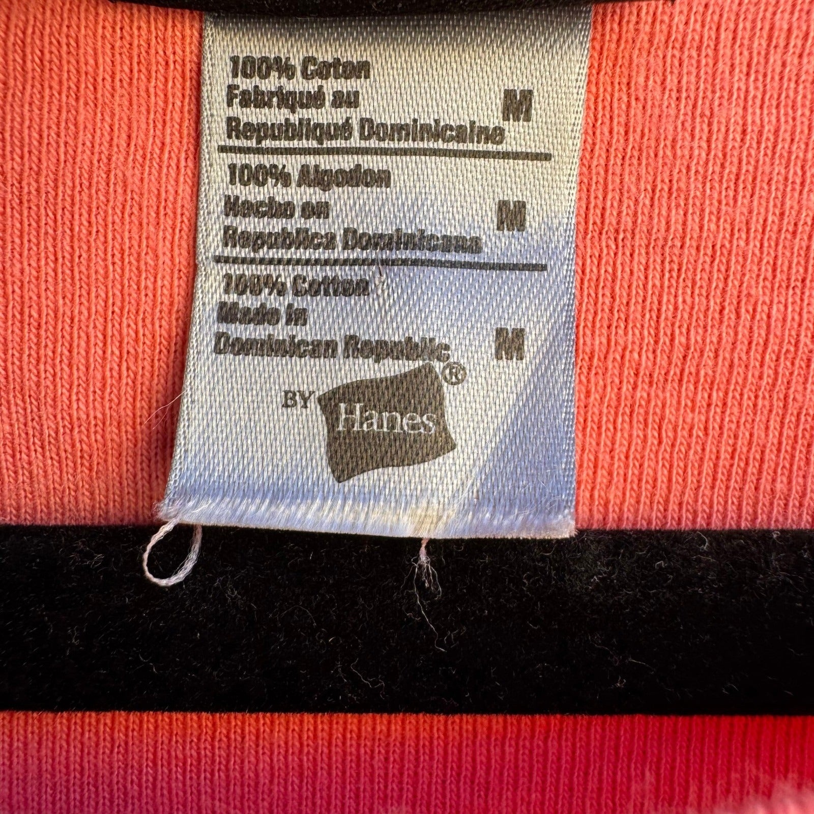 Silver for Her Hanes Y2K Babydoll Flower Fields Carlsbad CA Pink Graphic Tee M