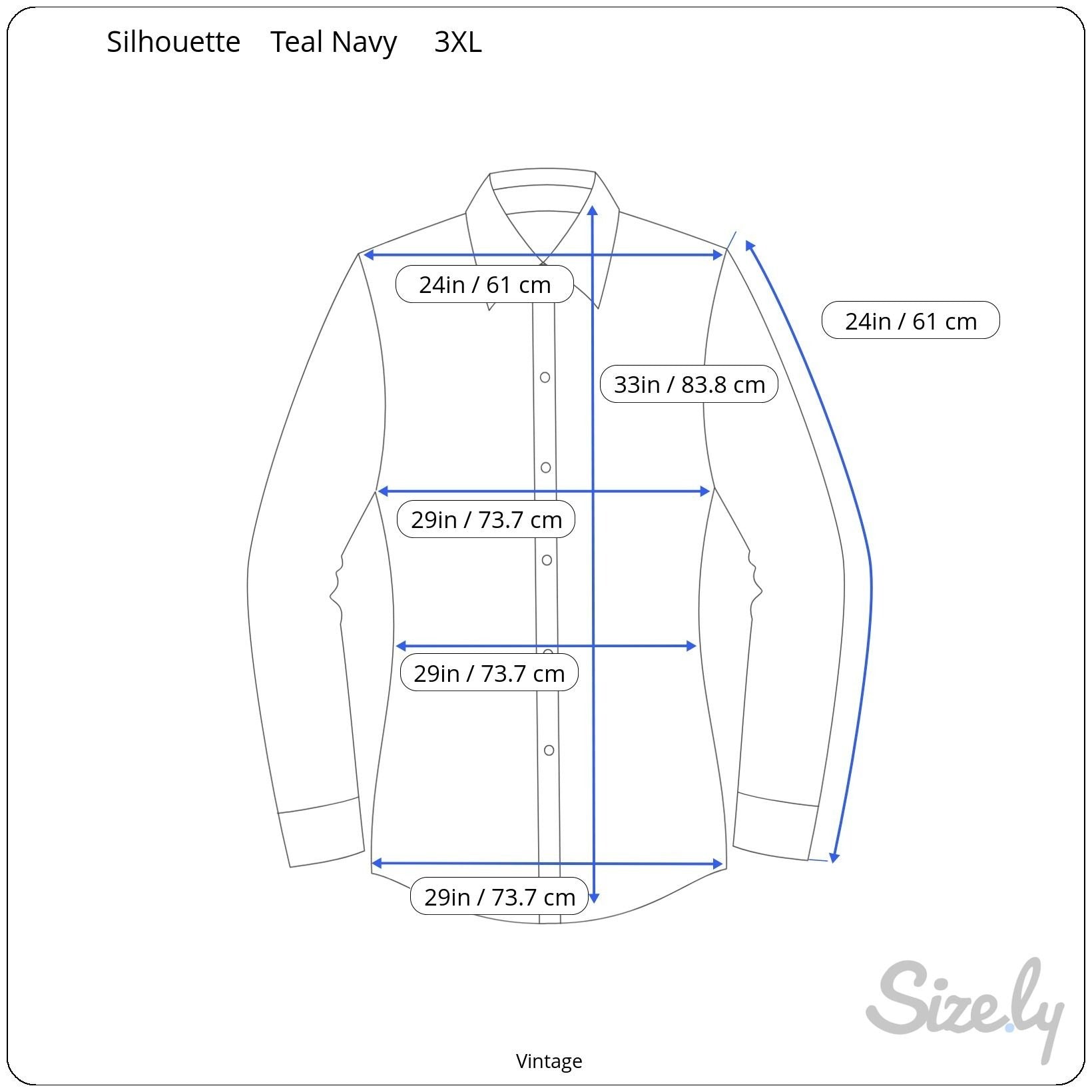 Silhouettes Vintage Long Sleeve Blue Green Paisley Boho Button-Up Shirt Blouse