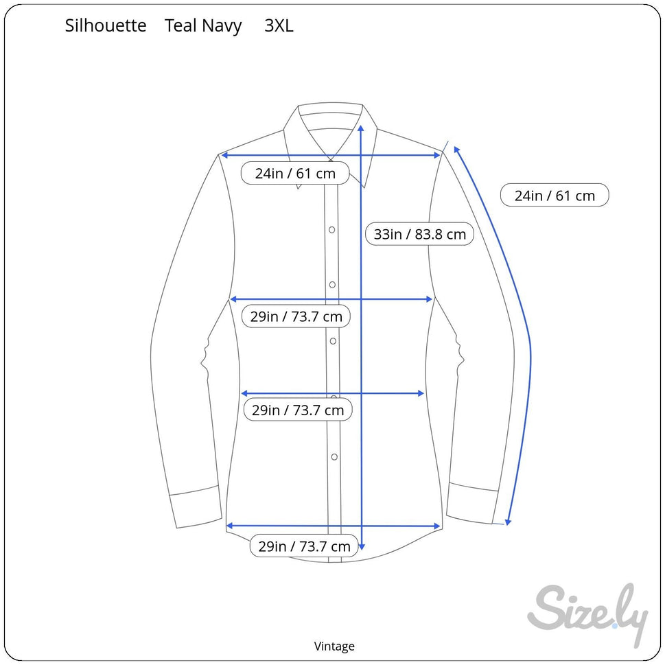 Silhouettes Vintage Long Sleeve Blue Green Paisley Boho Button-Up Shirt Blouse