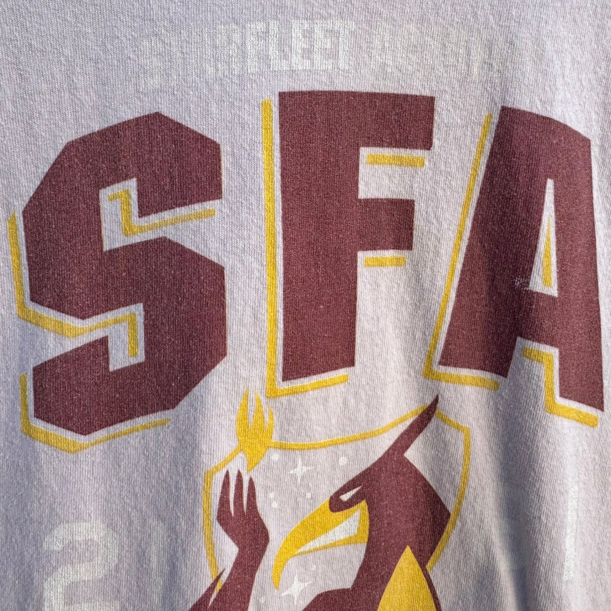 Gildan Starfleet Academy Star Trek SFA Fighting Phoenix Trekkie Graphic Shirt L