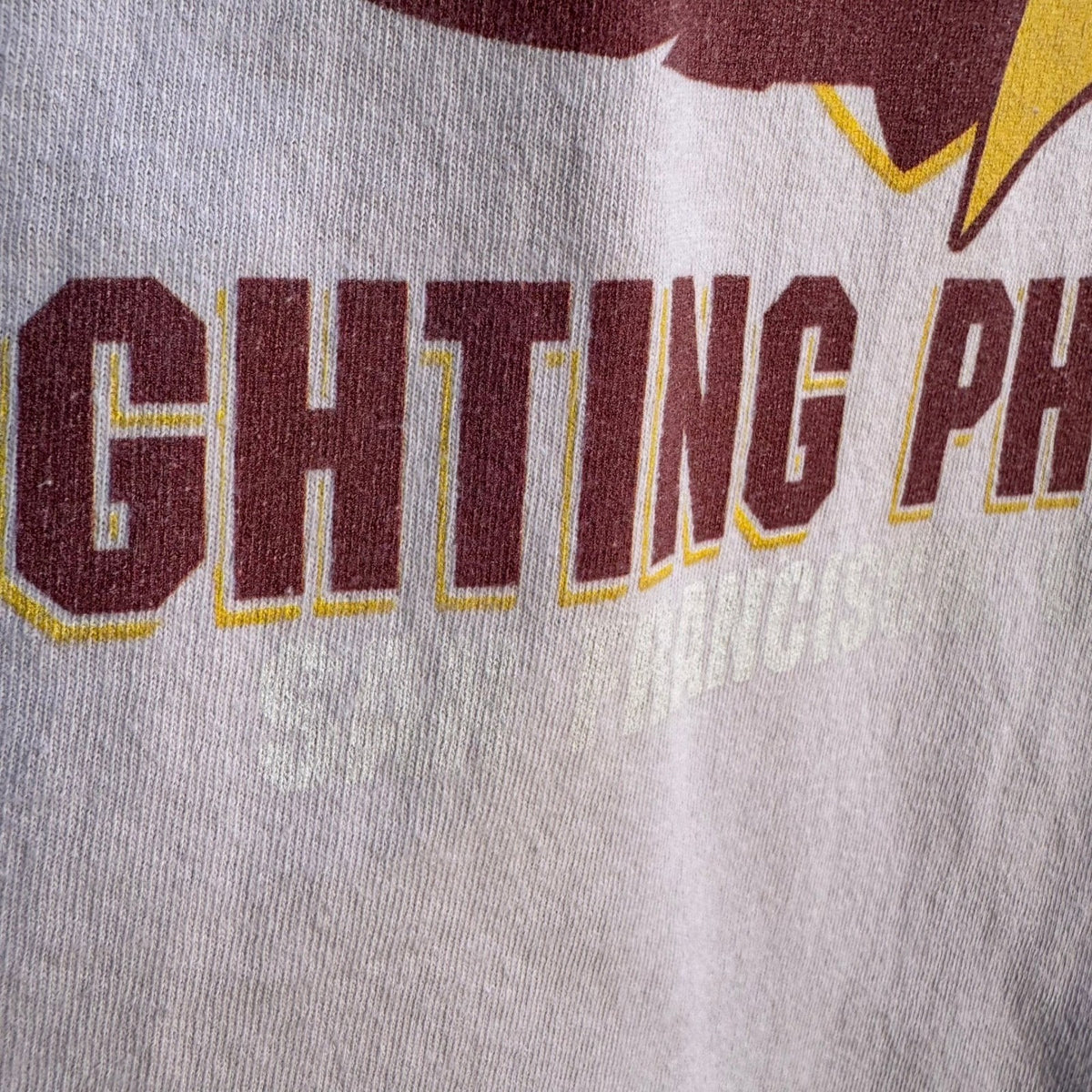 Gildan Starfleet Academy Star Trek SFA Fighting Phoenix Trekkie Graphic Shirt L