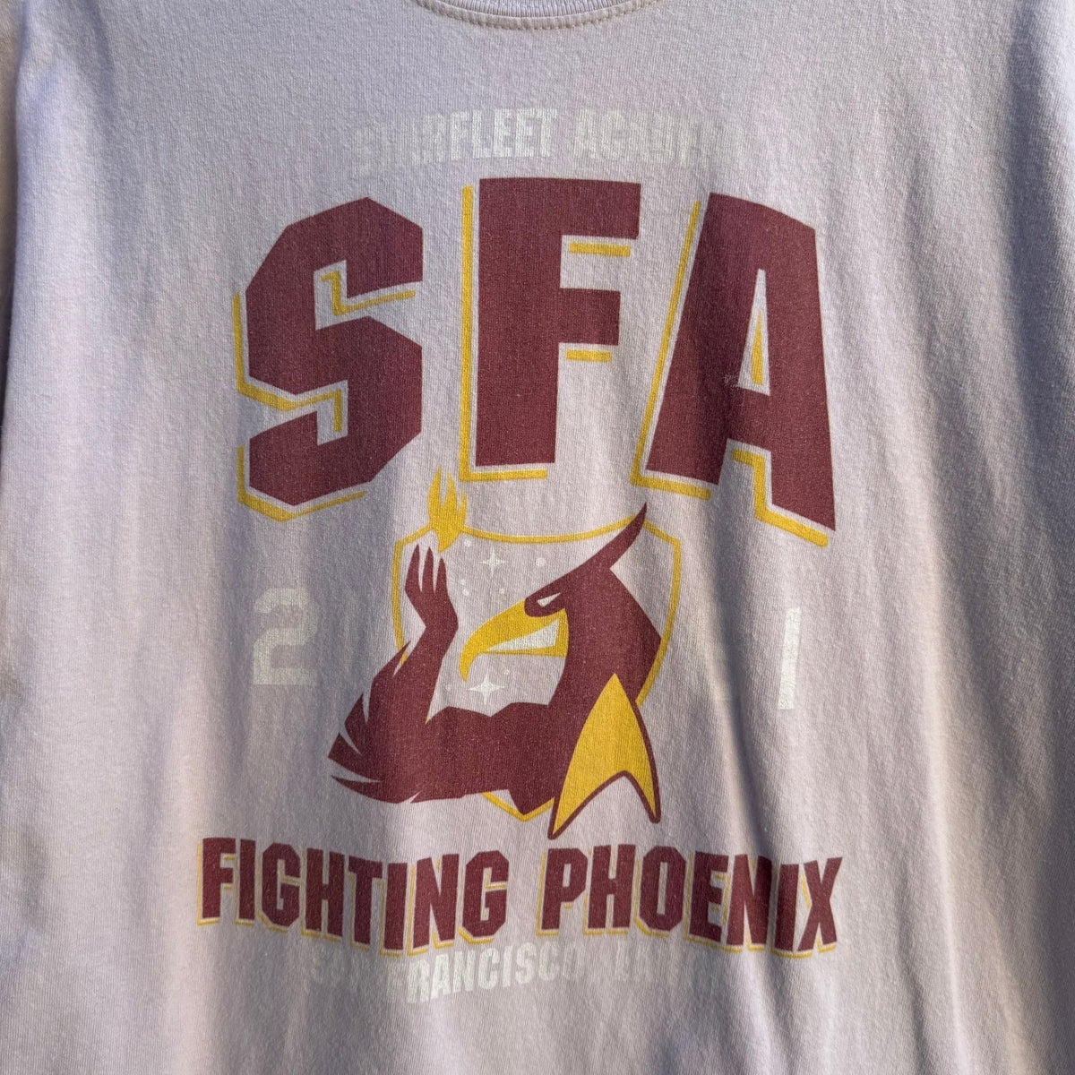 Gildan Starfleet Academy Star Trek SFA Fighting Phoenix Trekkie Graphic Shirt L