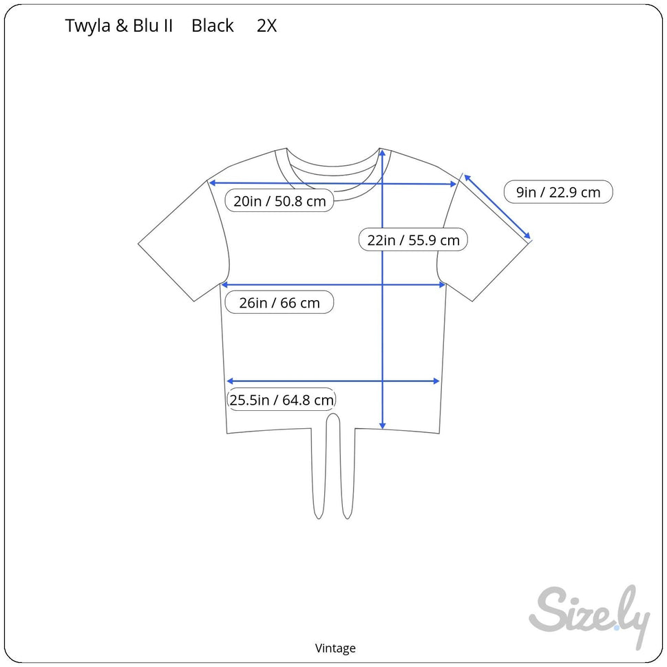 Twyla & Blu II Vintage Womens Floral Button-Up Tie Front Cropped Blouse Shirt 2X