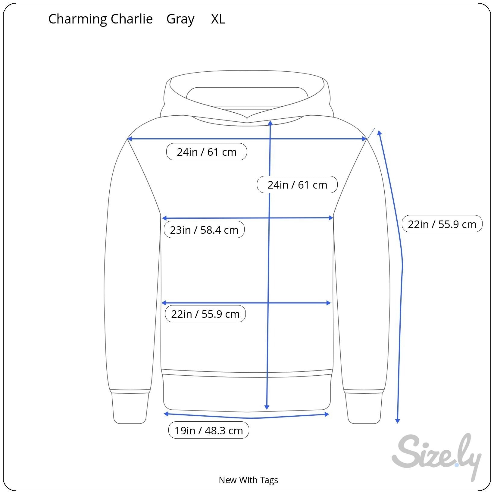 Charming Charlie Womens Grey Pullover Hoodie Ruffle Detail Kangaroo Pocket XL